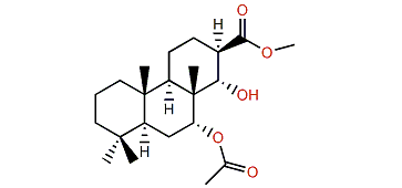 Aplyroseol 17